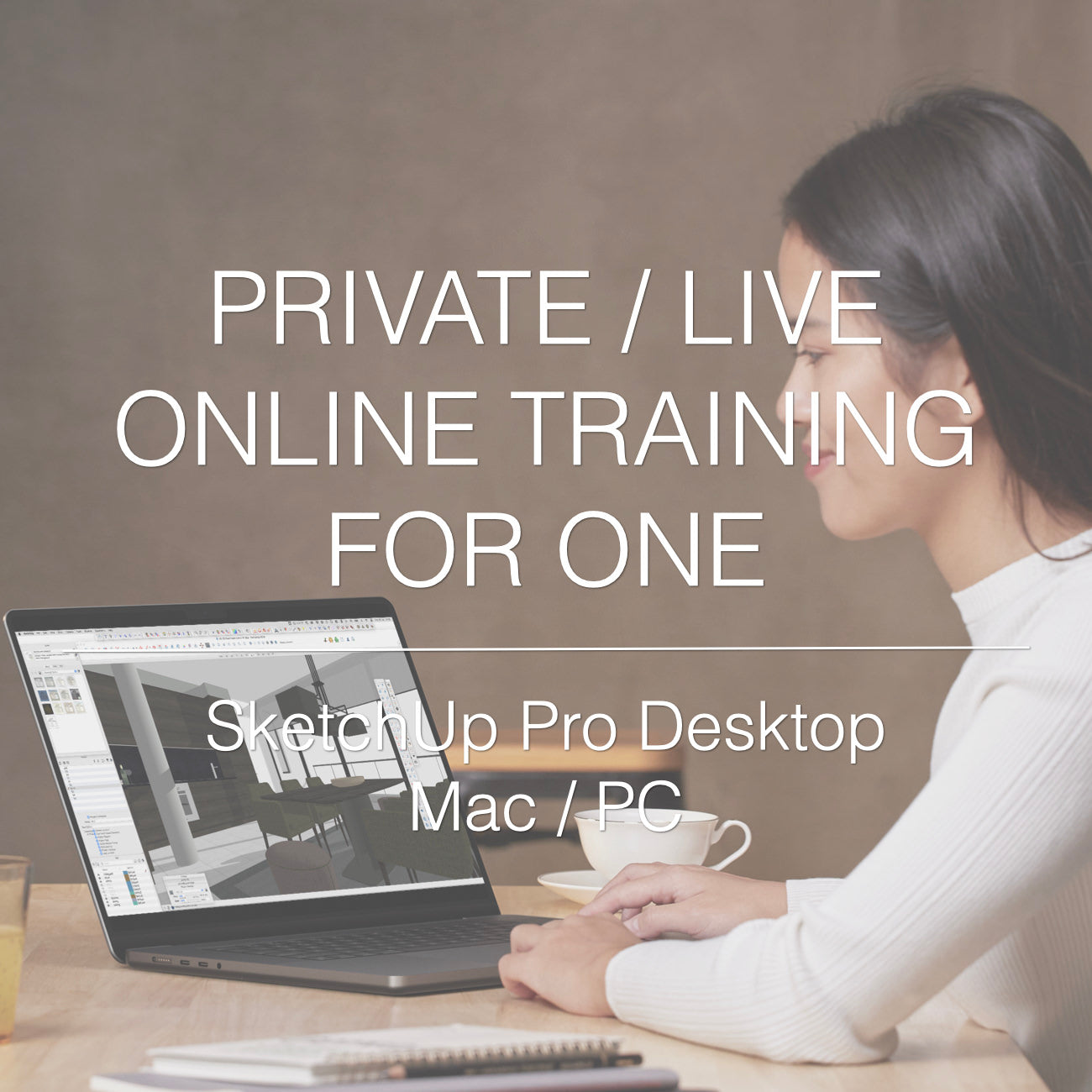 SketchUp Pro Online Training