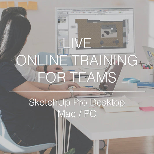 SketchUp Pro Online Training for Teams
